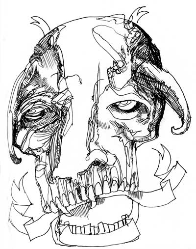 An Average Skull